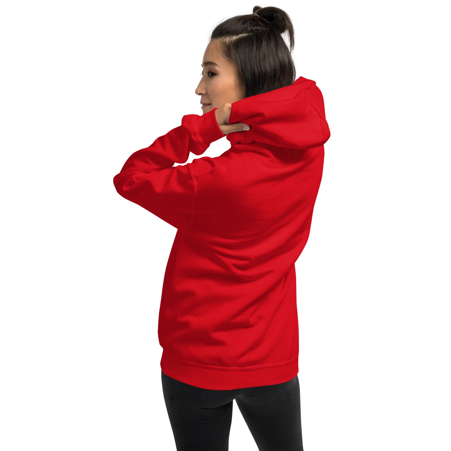 American Eagle Patriotic Hoodie